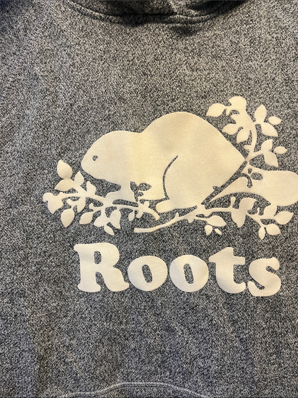 Roots Heather Gray Zip-Up Hoodie with White Beaver Logo Medium - Picture 5 of 10